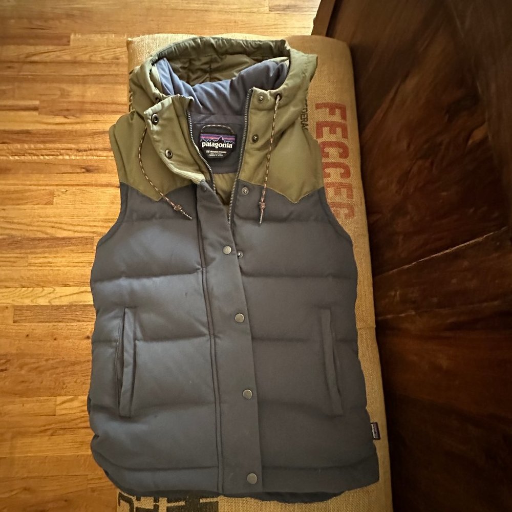 Patagonia Hooded Bivy Vest